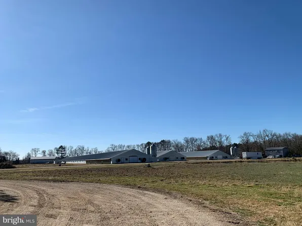 2159 Tower Rd, Hartly, DE 19953