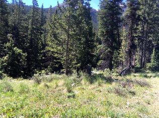 4334 N Name Placer, Leadville, CO 80461