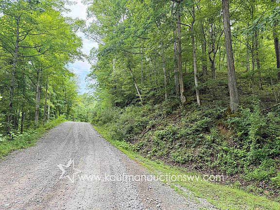 4th image of White Oak Rd