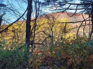 Main St, Cross Fork, PA 17729