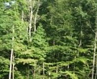 2nd image of Hagan Community