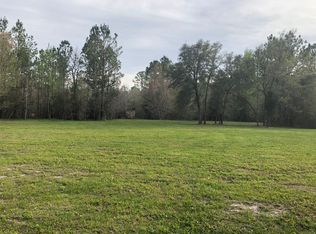 2741 Spring Dr, Middleburg, FL 32068