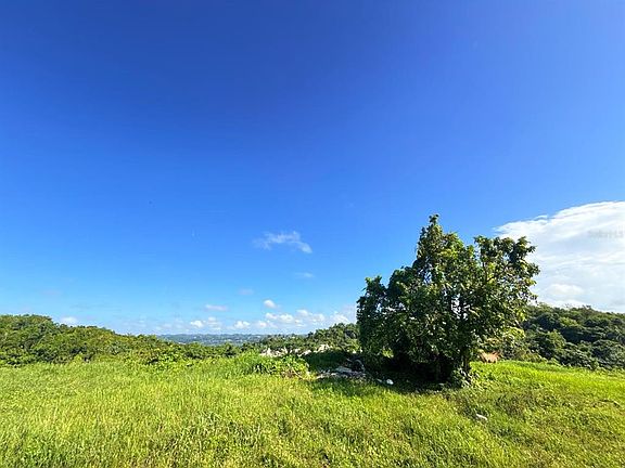 4th image of CARR 119 km 27.9 int BO HOYAMALA