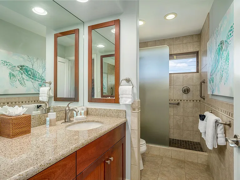 Wailea Alanui Dr — Photo 22