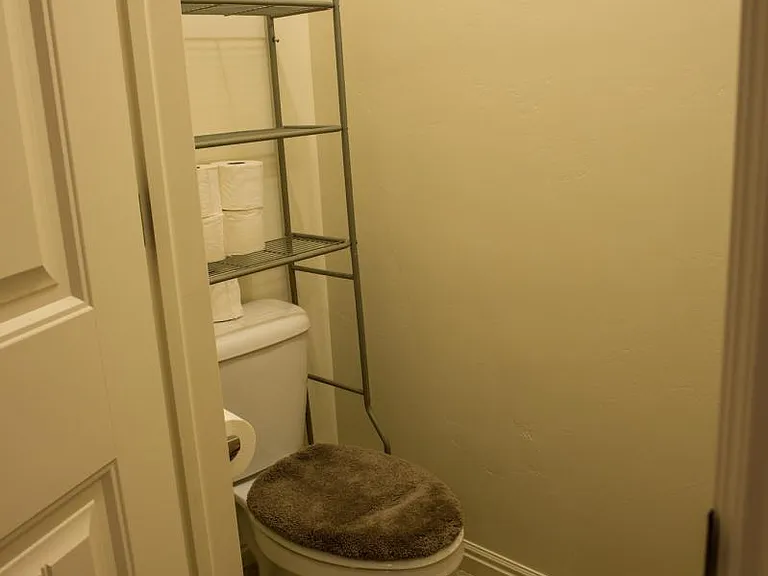 Toilet Room in Master