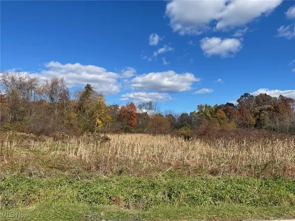 Pontius Rd, Mogadore, OH 44260