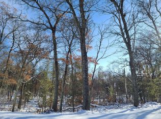 LOT 6 W Bass Lake Rd, Danbury, WI 54830