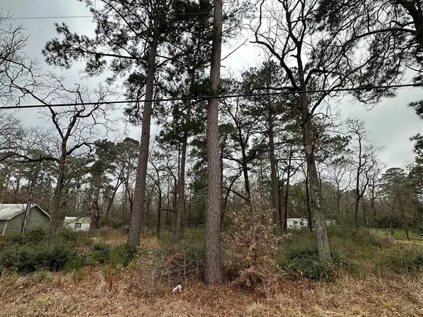 Mary Dr, Huntsville, TX 77320
