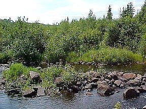 Cascade R 70's bridge NE 40