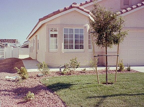 2nd image of 1123 Pearl Marble Ave