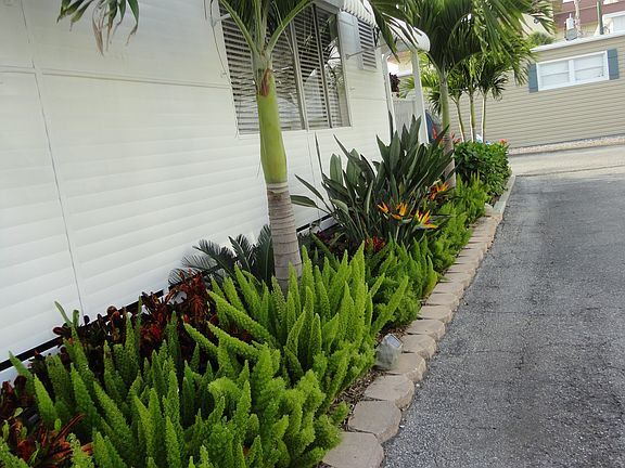 irrigated florida vegetation