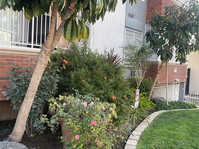1810 N Bronson Ave #102A — Photo 3