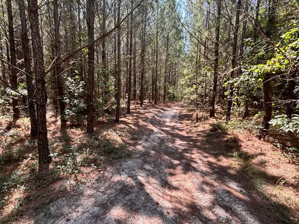0 Herndon Dairy Rd, North Augusta, SC 29842