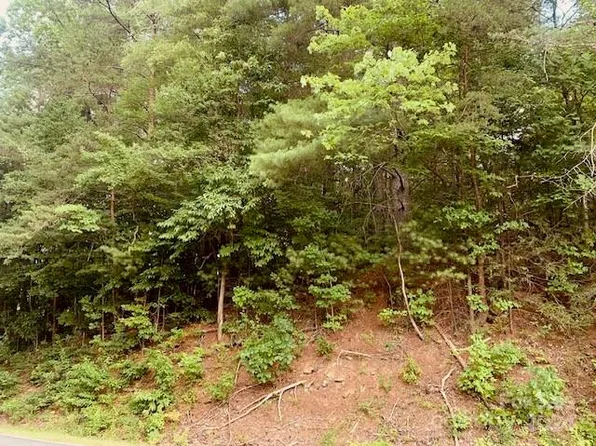 0 Wards Gap Rd, Connelly Springs, NC 28612