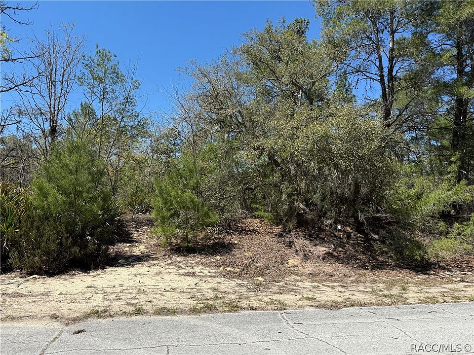 2nd image of 10762 N Moreno Dr