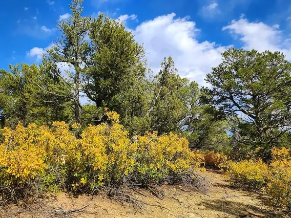 29780 County Road 16, Trinidad, CO 81082