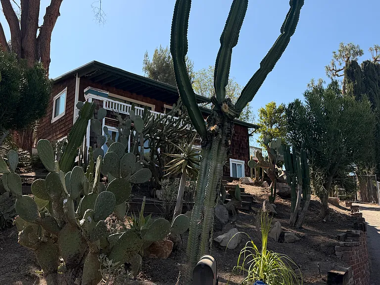 8625 Delmonico Ave — Photo 4