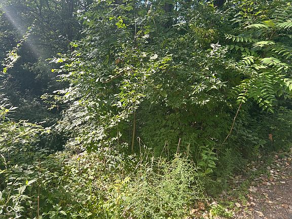 5th image of 4530 Eastbourne Dr