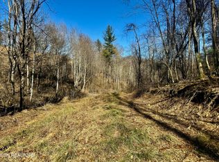 Highway 421, Mountain City, TN 37683