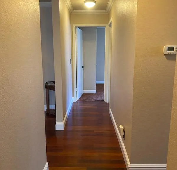 447 Haraszthy Dr — Photo 7