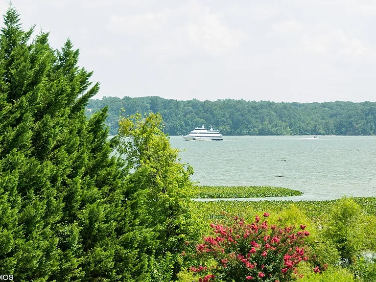 Peaceful river views framed by lush greenery