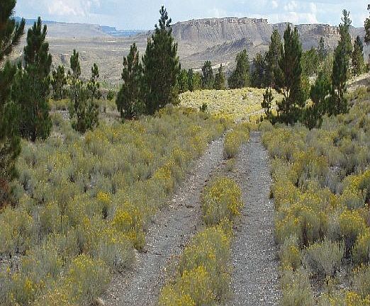 Take a road to seclusion