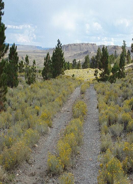 Take a road to seclusion