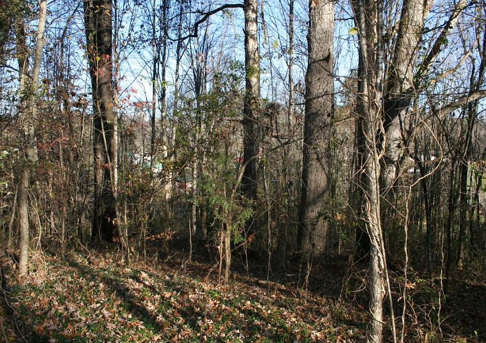 2nd image of 804 Turnpike Ct