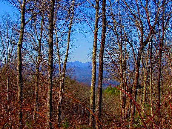 4th image of 226 Mountain Sunset Trl