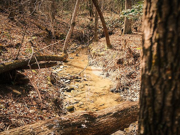 4th image of 0 Ferguson Rd