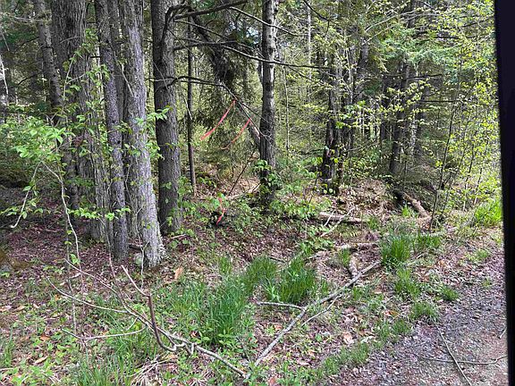 4th image of Baine Road Map 47 Lot 1  & Map 11 Lot 2