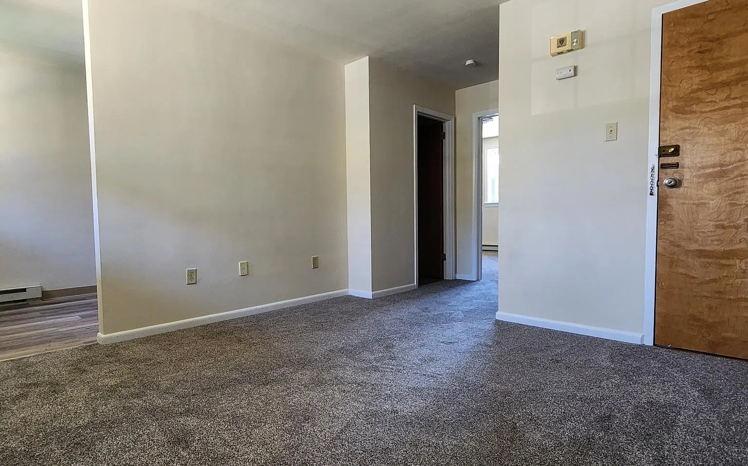 1 bed, $1,150 — Photo 4