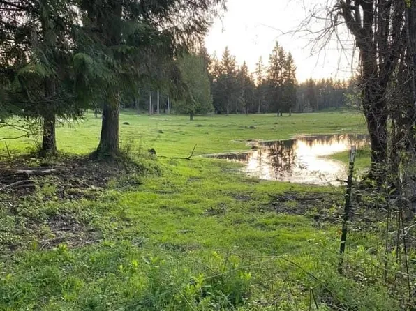 36514 48th Avenue S, Roy, WA 98580