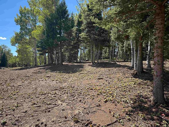 4th image of Lot 312 Via del Rey