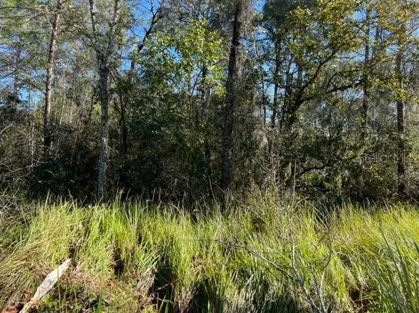 0 SE 63rd Pl #3, Morriston, FL 32668