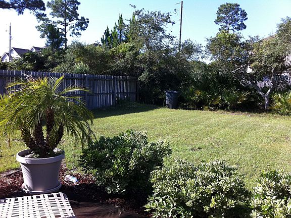 Back yard