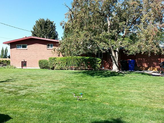Large Backyard