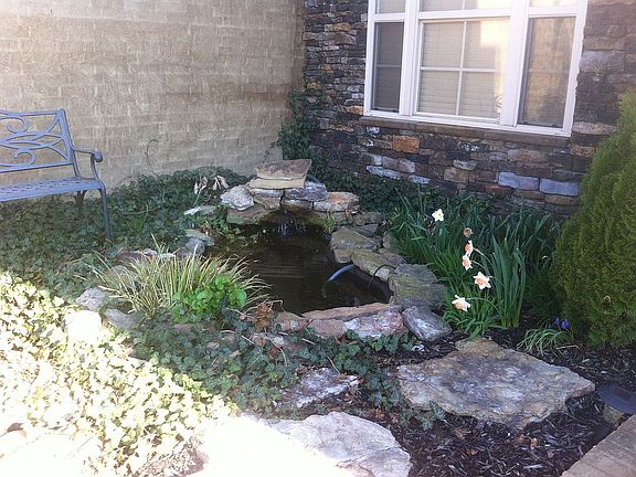 Front yard pond