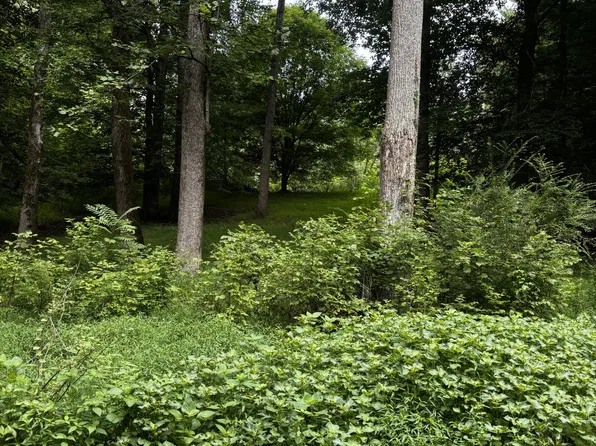 420 Shepherd Hollow Rd, Indian Mound, TN 37079