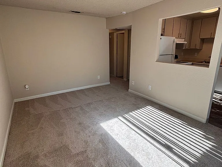 Olive Glen — Photo 15
