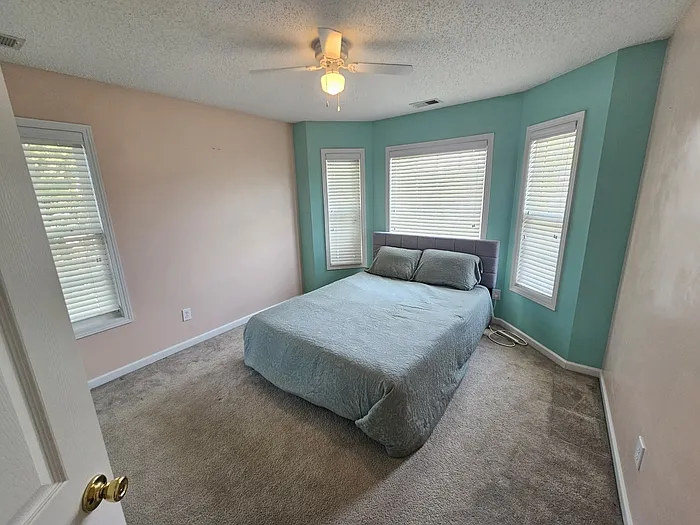 207 Hope Creek Dr — Photo 11