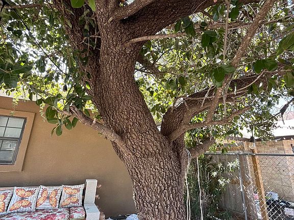 4th image of 137 Pamplona Loop