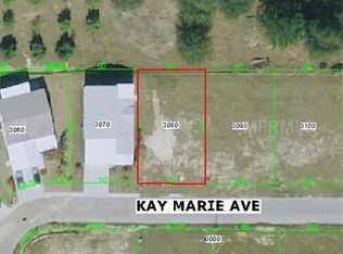 7908 Kay Marie Ave, Zephyrhills, FL 33541