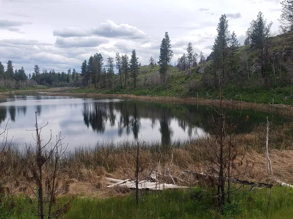 Nka Madd Mountain Rd, Okanogan, WA 98840