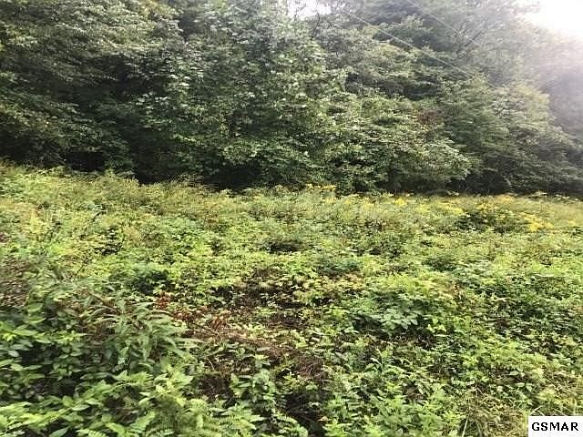 1st image of 7 Bench Mountain Way Lot 7
