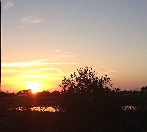 view out back
