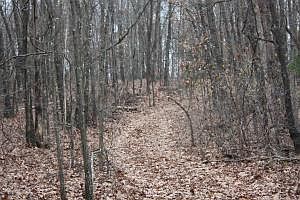 5th image of Goddard Ln