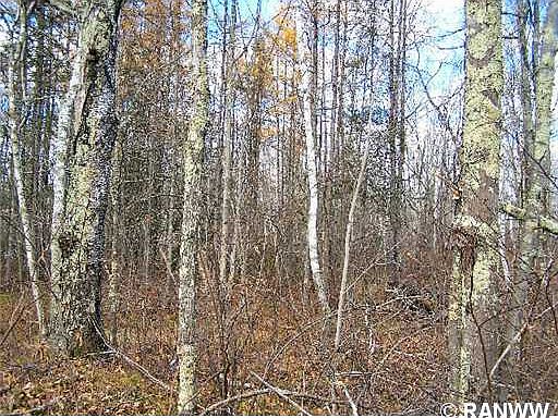 2nd image of Lot 16 W Hemlock Haven Road