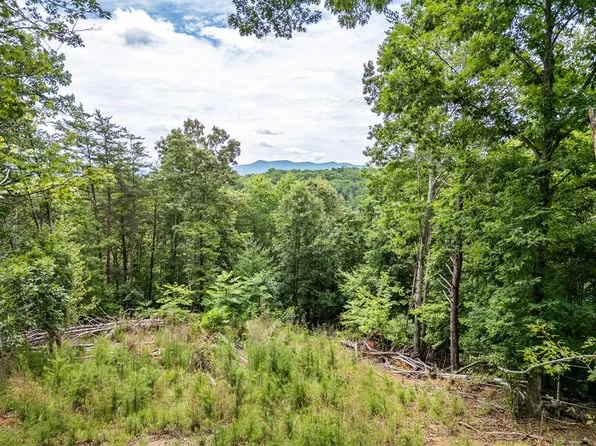 LOT 1 Stormy Rdg, Brasstown, NC 28902
