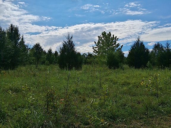 2nd image of LOT 4 Ridge Rd
